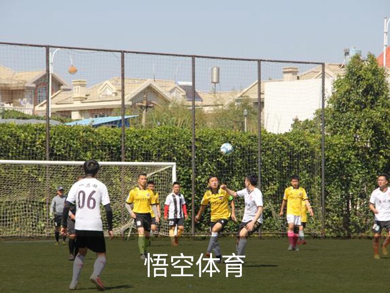 关于悟空体育